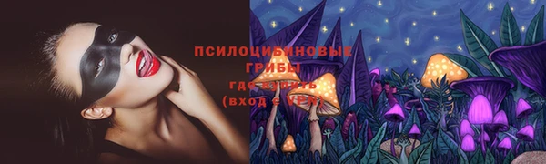 хмурый Балабаново