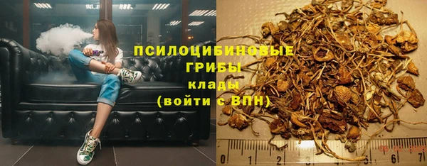 хмурый Балабаново