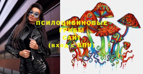 сатива Козловка