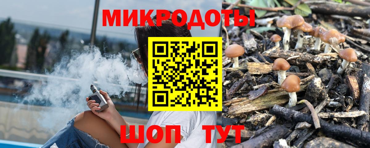 Псилоцибиновые грибы Psilocybine cubensis Абакан
