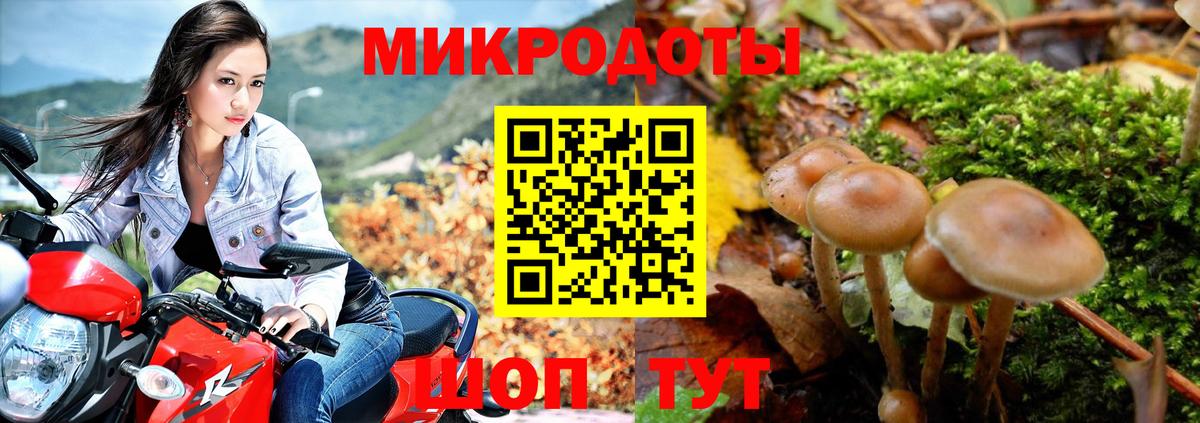 Галлюциногенные грибы Cubensis  Псилоцибиновые грибы ЛСД  Абакан  Вход с VPN 