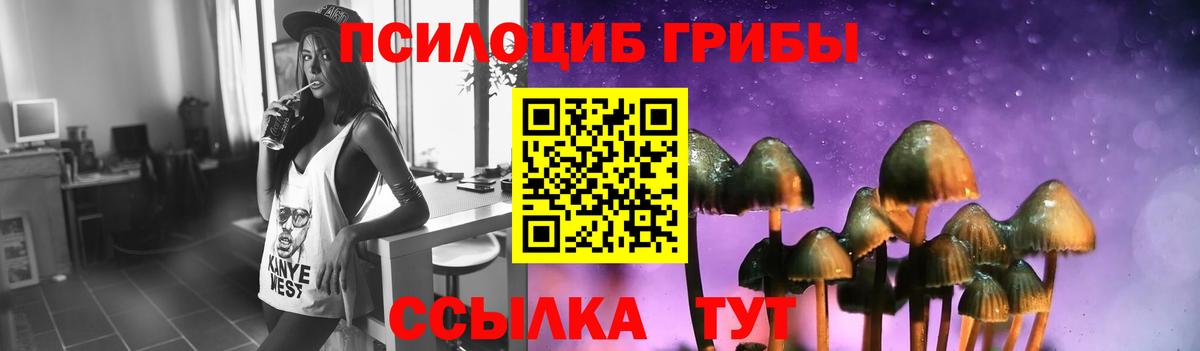 магазин продажи   Абакан  Псилоцибиновые грибы Cubensis  Галлюциногенные грибы GOLDEN TEACHER 