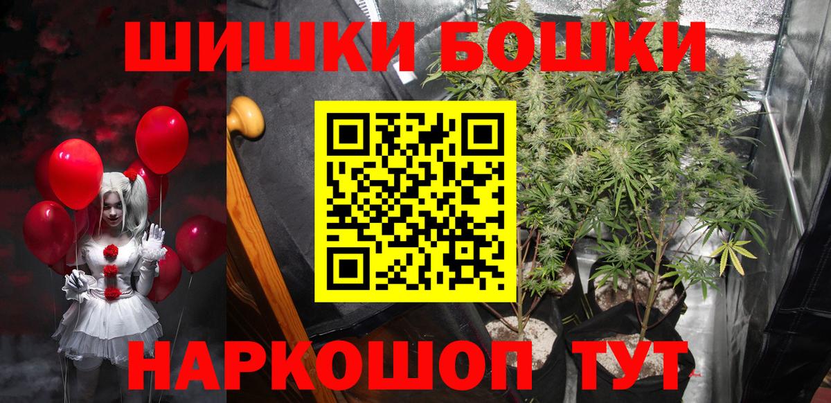 Конопля сатива Абакан